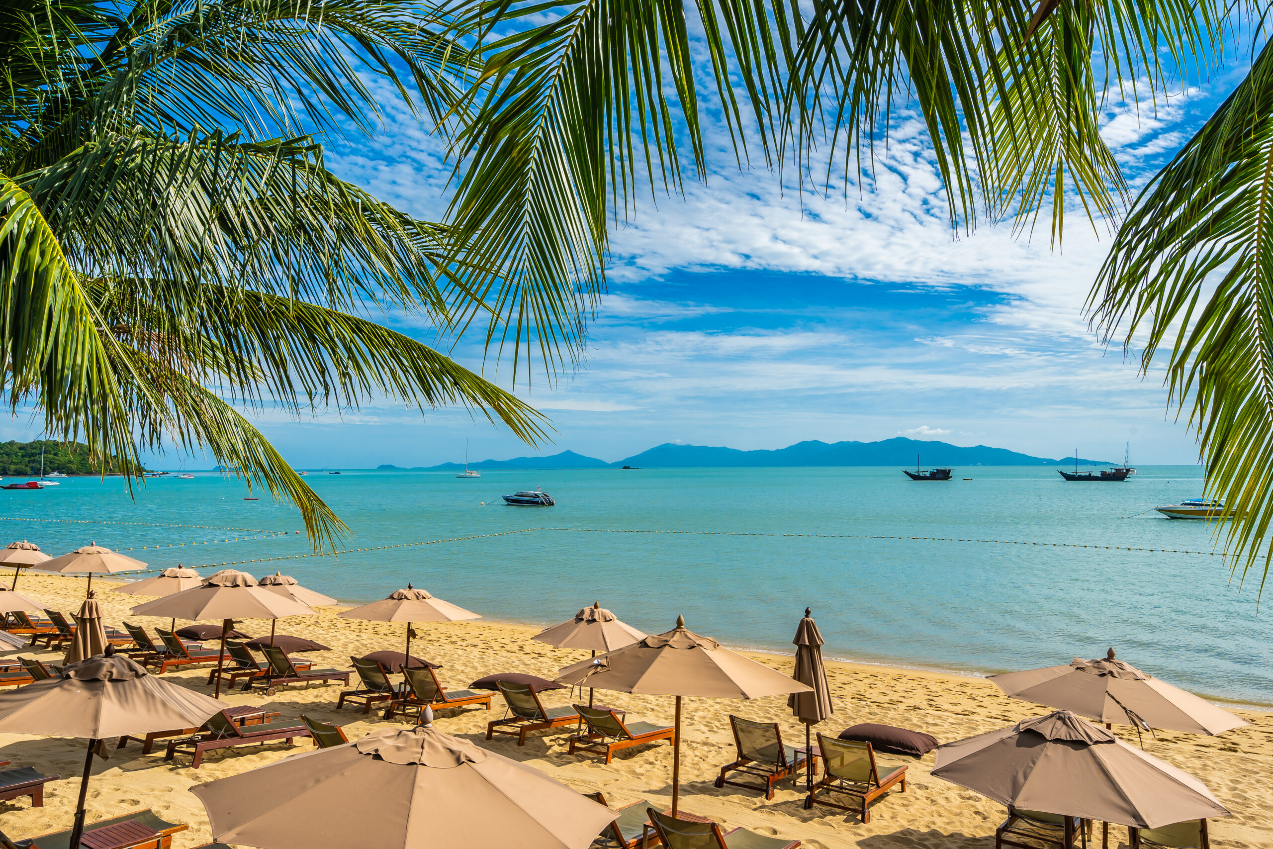 Beautiful tropical beach sea and ocean with coconut palm tree and umbrella and chair on blue sky and white cloud for holiday vacation travel