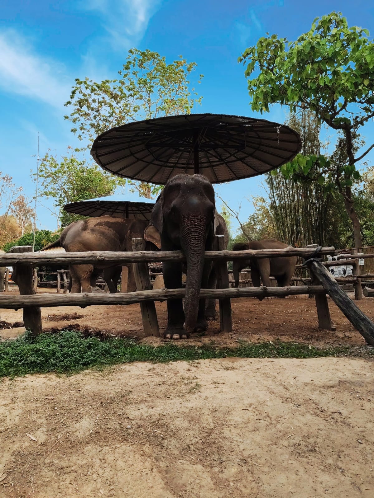 No momento, você está visualizando O que fazer em Chiang Rai: templos, cafés instagramáveis e cultura local no norte da Tailândia