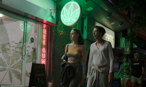 A maconha é liberada na Tailândia? Saiba o que mudou e o que ainda é proibido